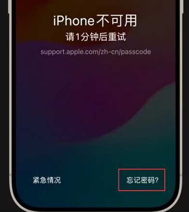 金阳苹果手机密码维修分享iPhone忘记了刚设置的密码 