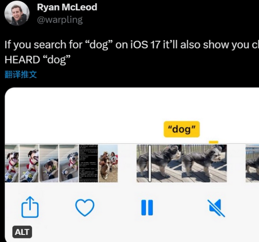 金阳apple维修店分享通过关键字搜索iPhone视频内声音 