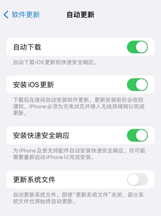 金阳苹果手机维修分享苹果快速安全响应更新有必要安装吗 